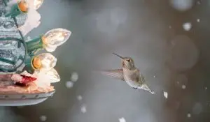 Read more about the article OceanWP Theme The Ultimate Tool for Showcasing Your Ocean Photography Talent